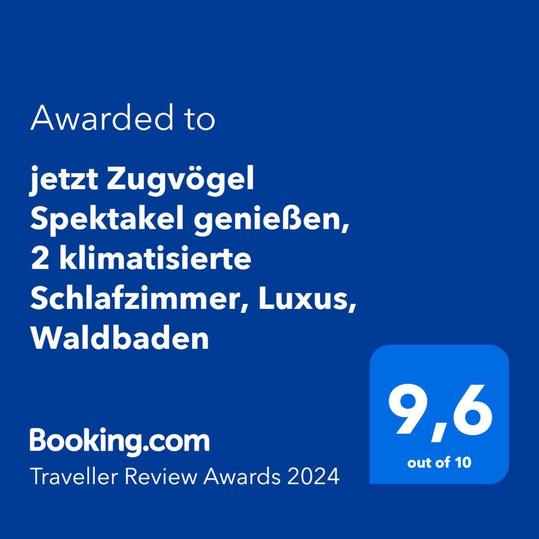 5 Sterne Bahnhoftraum, Appartement "Waldliebe" 133Qm, Grosse Terrasse 70Qm, Qr Code Scannen Fuer Virtuellen Rundgang, Premium Ausstattung Braunfels Eksteriør billede