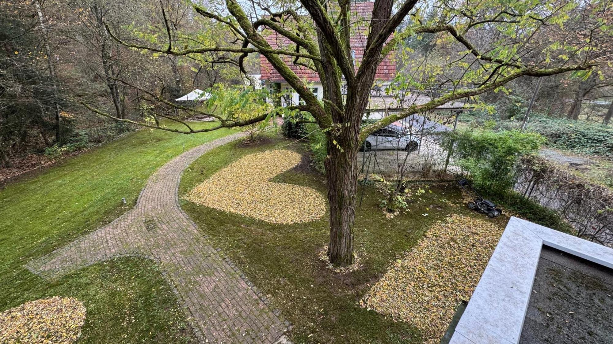 5 Sterne Bahnhoftraum, Appartement "Waldliebe" 133Qm, Grosse Terrasse 70Qm, Qr Code Scannen Fuer Virtuellen Rundgang, Premium Ausstattung Braunfels Eksteriør billede